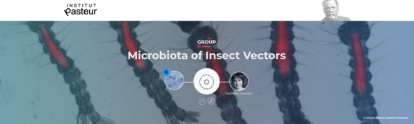 pasteur.png pasteur.png